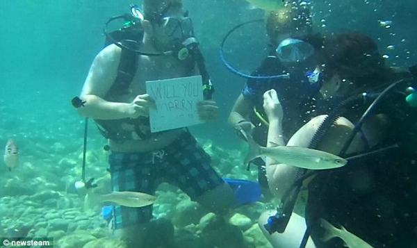 scuba-proposal