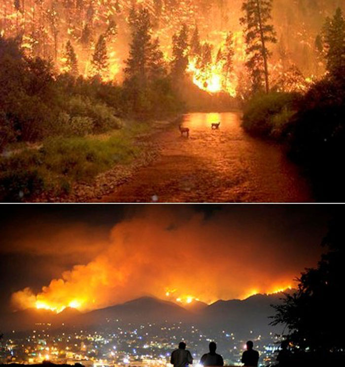 6) A large and deadly wildfire in Montana, 2000 (US)