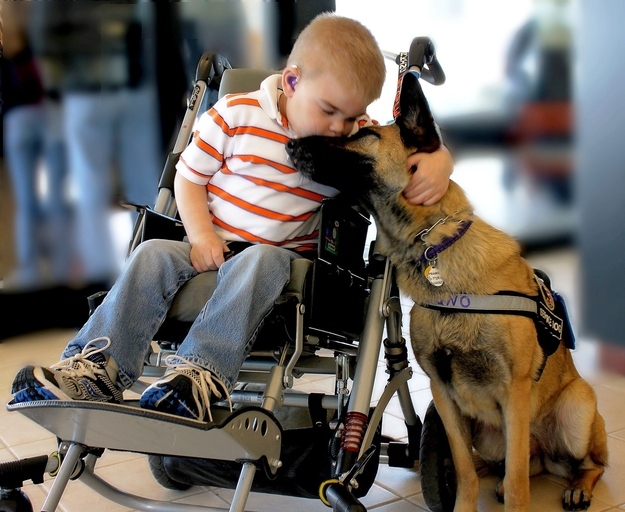 2. When Lucas Hembree and his service dog Juno shared a hug