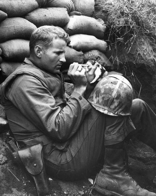 19. When Marine Sergeant Frank Praytor fed a 2 week-old kitten after her mother was killed