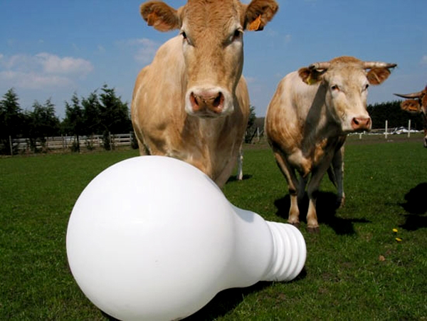 Giant Light Bulb by Sarah Olaerts