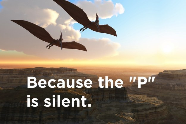 Why can't you hear a pterodactyl going to the bathroom?