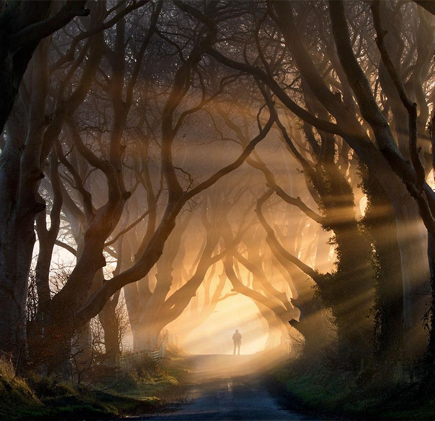 01 - The Dark Hedges in Northern Ireland