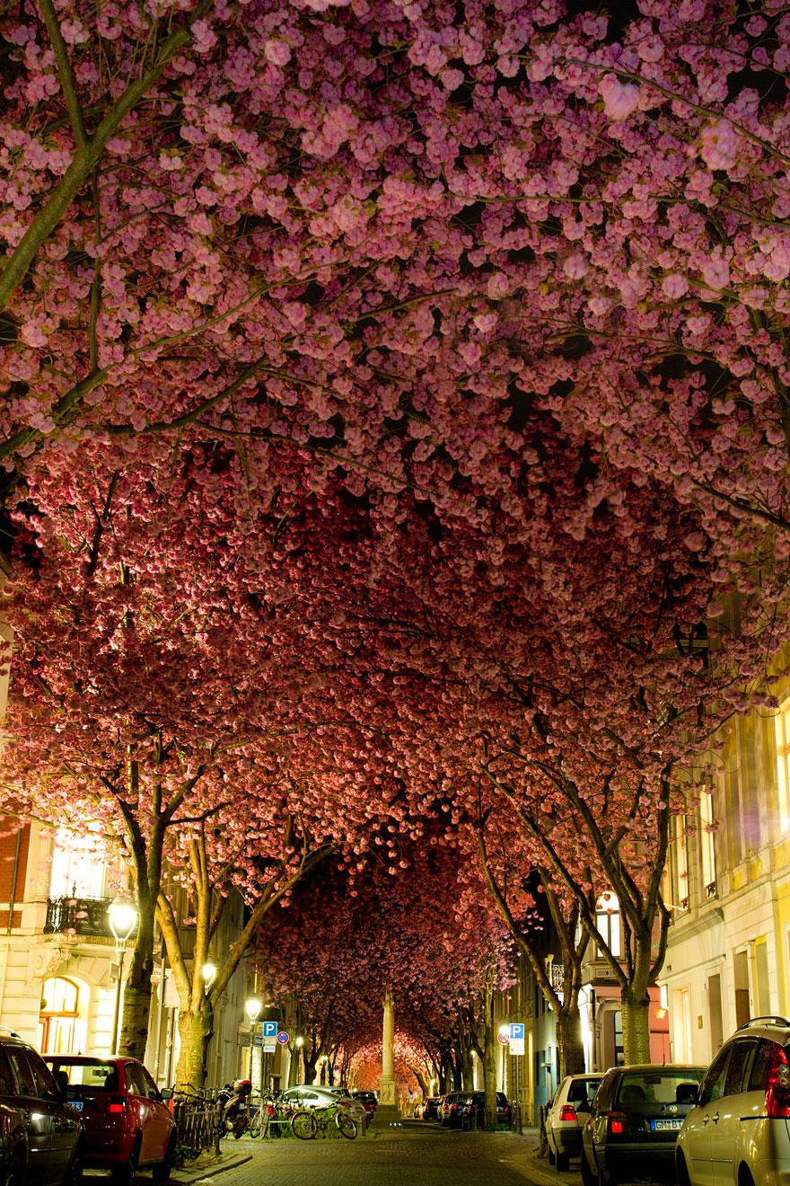 03 - Street in Bonn Germany