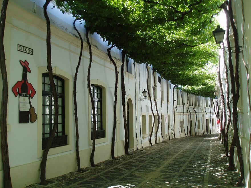 10 - Street in Jerez Spain