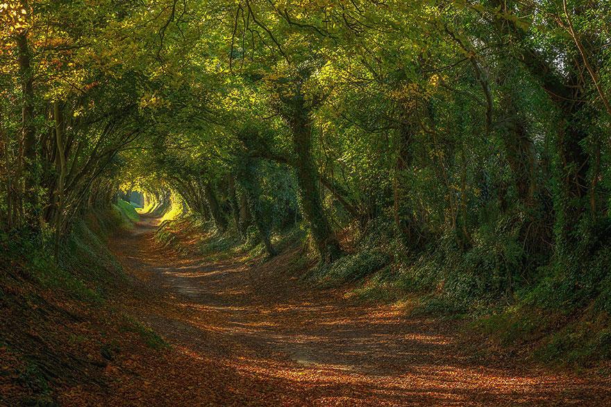 22 - The Path Up To the Halnaker Windmill in Sussex