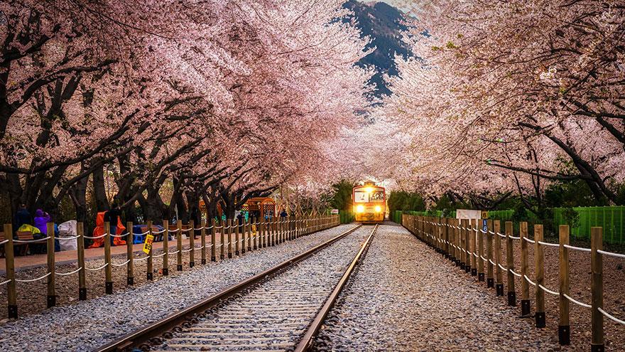 24 - Gyeonghwa Station in Jinhae South Korea