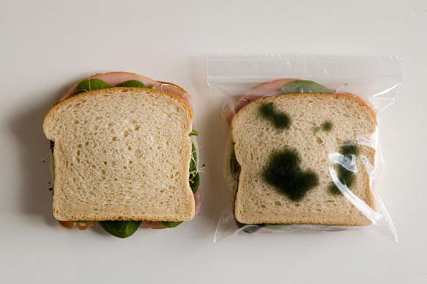 Anti-Theft Lunch Bags