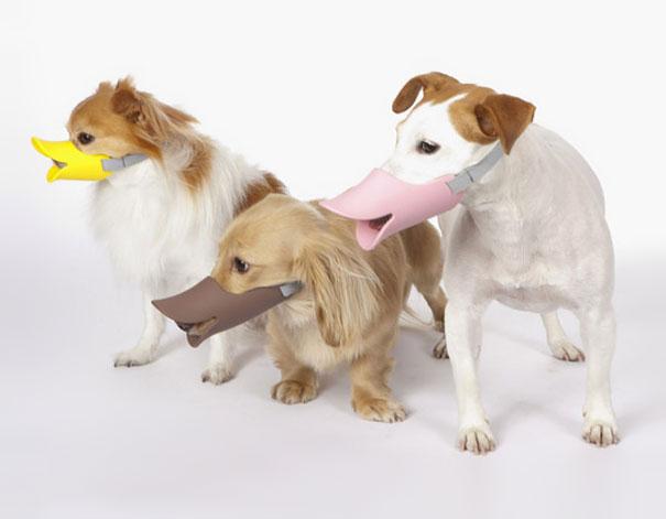 Quack: A Duck-Billed Protective Muzzle For Dogs