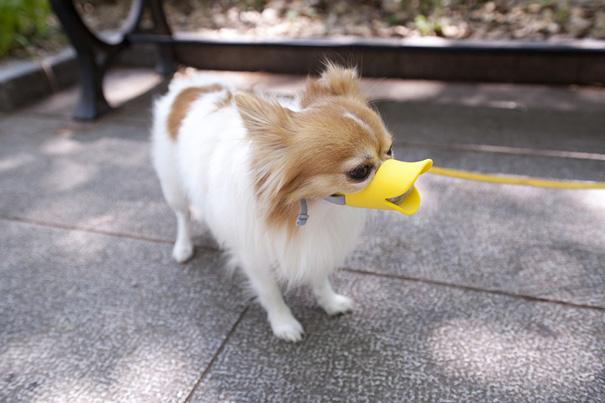 The Dogbrella