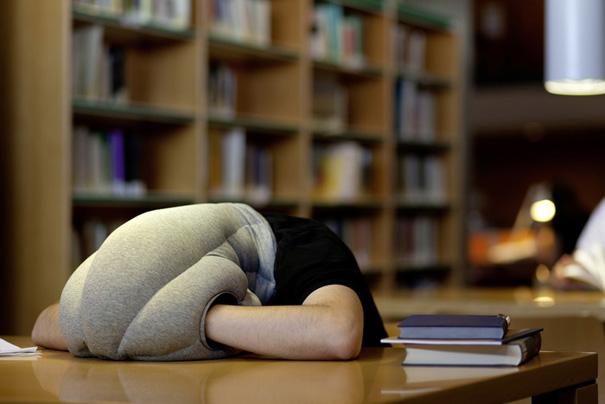 Ostrich Pillow