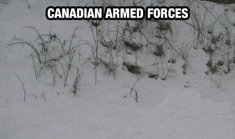 funny-gif-things-Canada-different-army-snow
