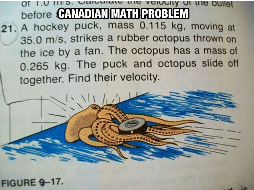 funny-things-Canada-different-octopus-math