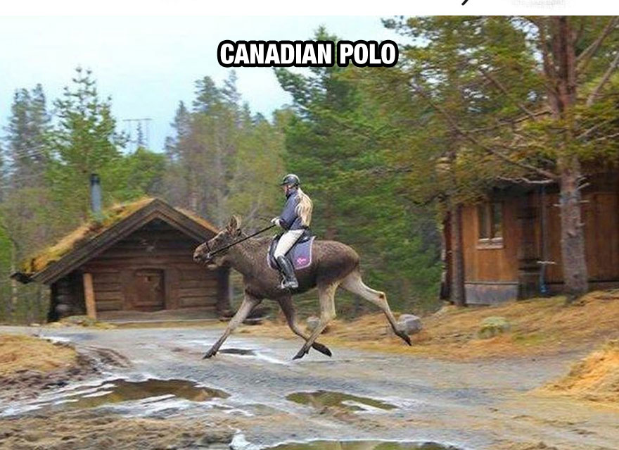 funny-things-Canada-different-polo