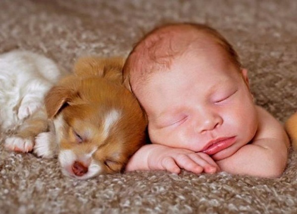 Sweet-babies-with-their-cute-pets-1