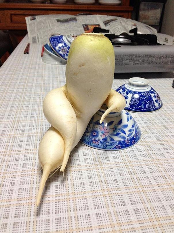 funny-shaped-vegetables-fruits-1-1-620x