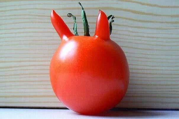 funny-shaped-vegetables-fruits-5-620x