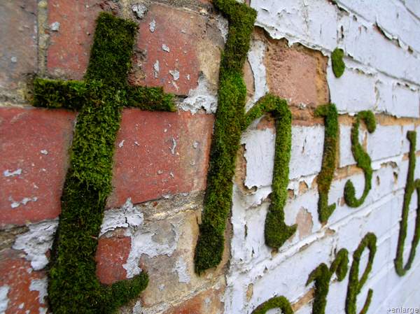 2) Moss Designs For Your Brick Interior: Full Instructions.