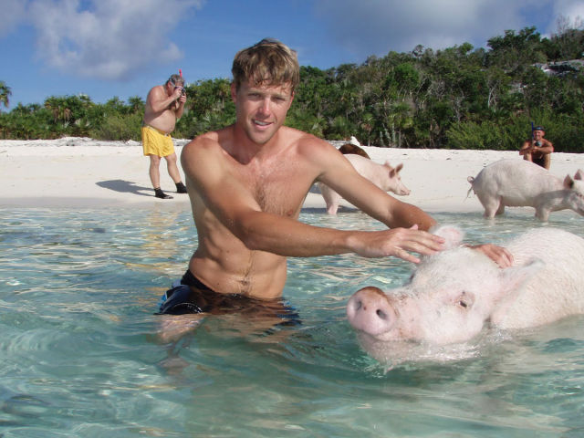 9. Pig Beach, Bahamas