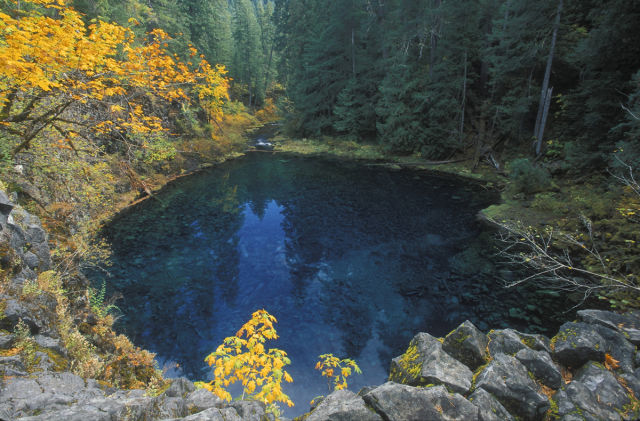 28. Blue Pool, McKenzie River, Oregon