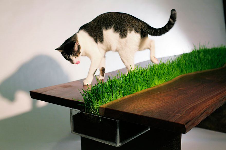 cat-furniture-creative-design-4