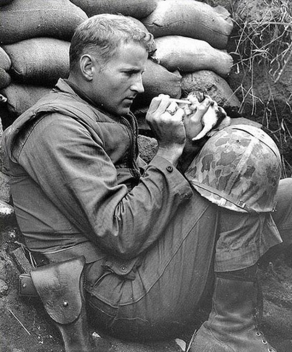 23.) An American soldier feeds a kitten after its mother was killed during the Korean War in 1953.