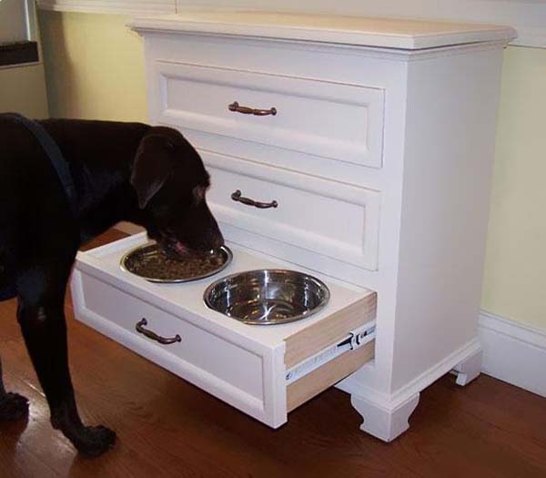 1.) Keep your dog's food and water in a drawer that you can hide when company is over.