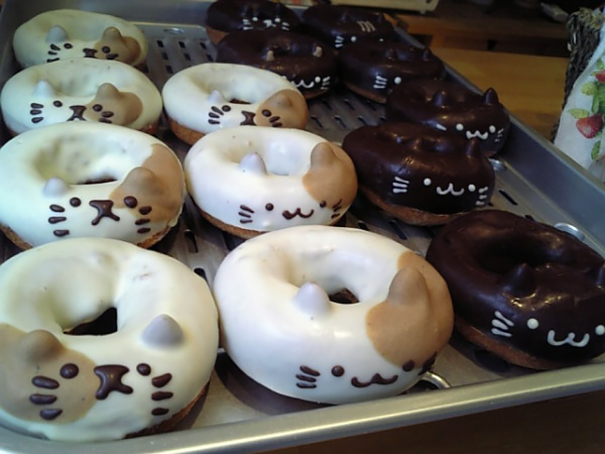 Cat Doughnuts
