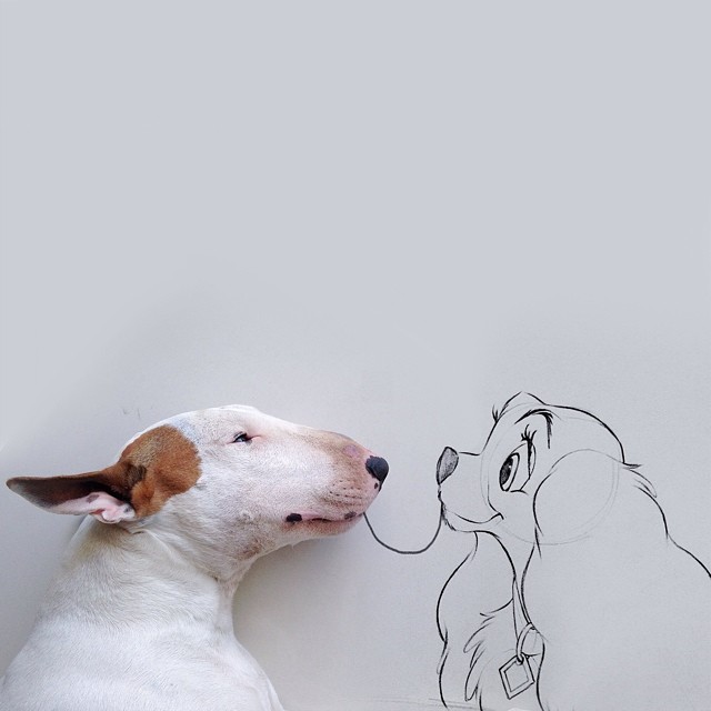 jimmy-choo-bull-terrier-illustrations-rafael-mantesso-5