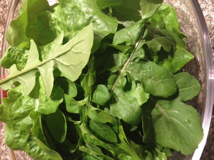 cool-plants-lawn-arugula-leaves