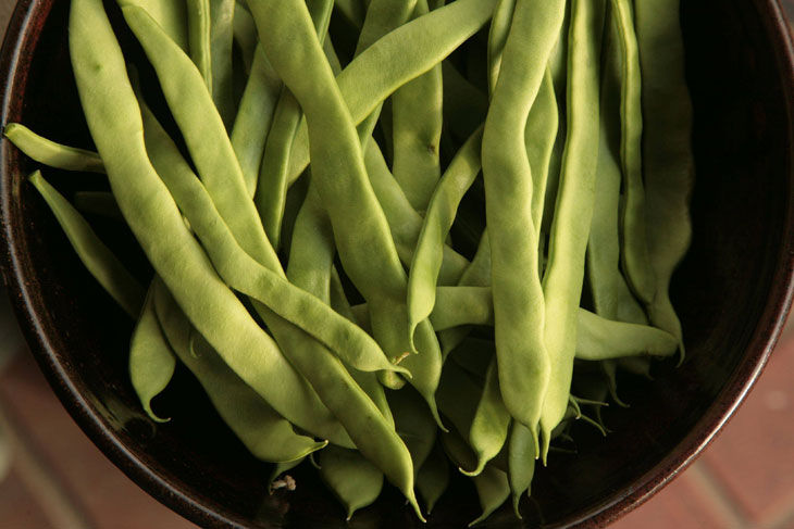 cool-plants-lawn-Roman-beans