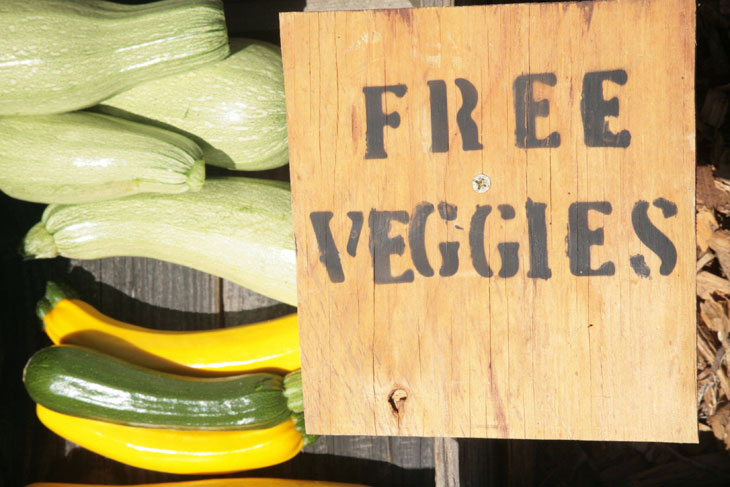 cool-plants-lawn-free-veggie-sign