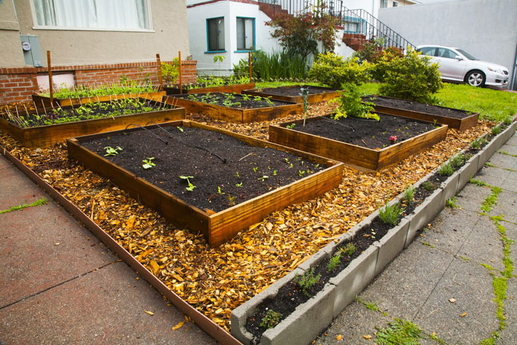 cool-plants-lawn-wood-chips