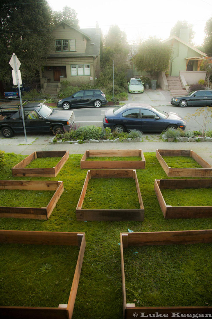 cool-plants-lawn-boxes