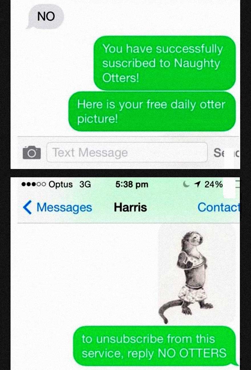Man Receives A Text Scam, And Then Sends Back The Best Reply Ever -  Pulptastic