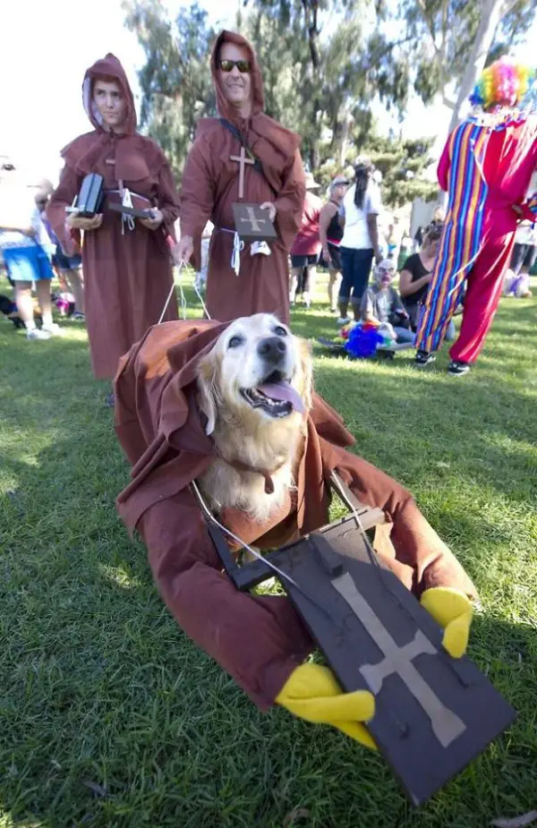 US-HALLOWEEN-DOG-COSTUMES