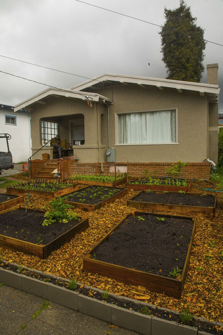 cool-plants-lawn-compost-house