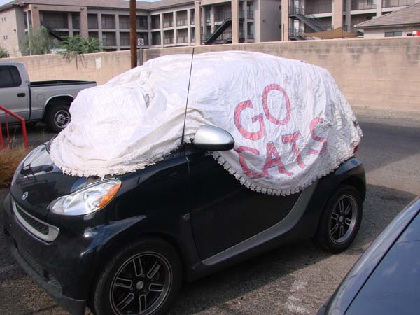 Then, he protected the interior of his car.