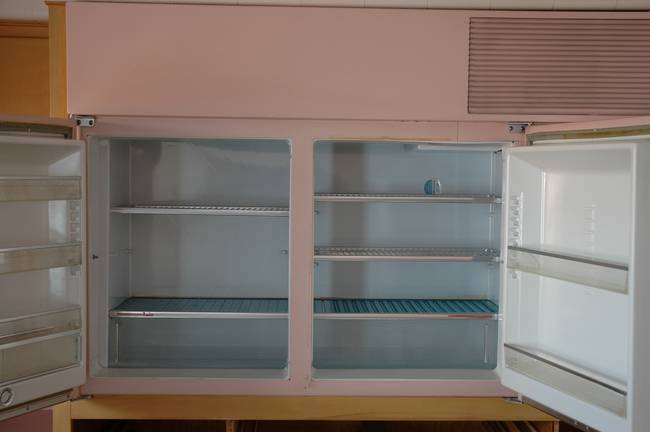 The refrigerator and freezer, which was horizontal and raised off the floor.