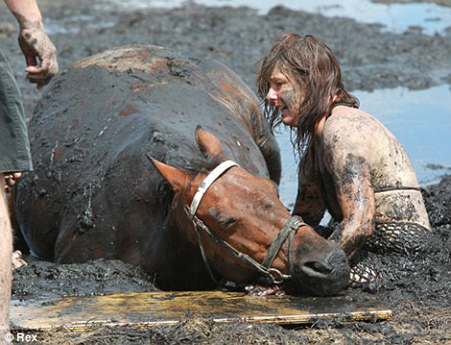At over 1,000 lbs, attempts to free the horse before help arrived only resulted in both becoming more stuck.