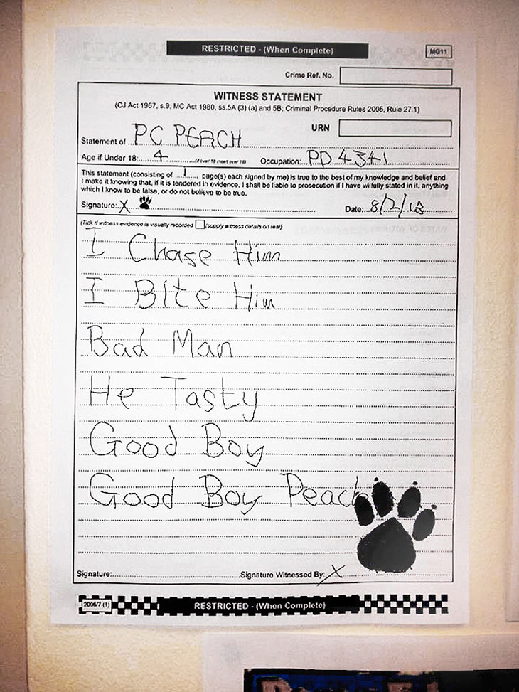 funny-police-dog-witness-statement