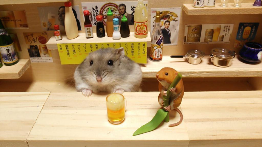 hamster-bartender-miniature-bar-kawanabesatou-15
