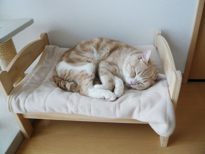 ikea-duktig-bed-hack-cat-bed-19