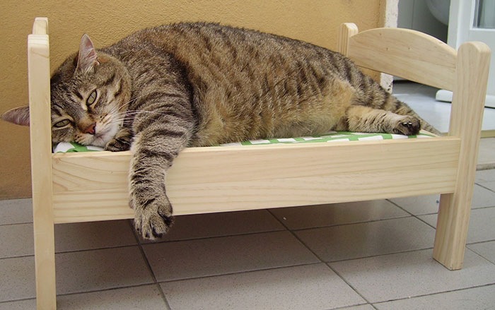 ikea-duktig-bed-hack-cat-bed-7