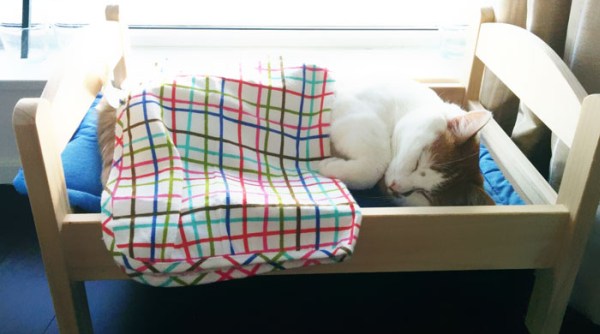 Japanese Pet Owners Transform Ikea Doll, Pet Cat Bunk Beds Ikea