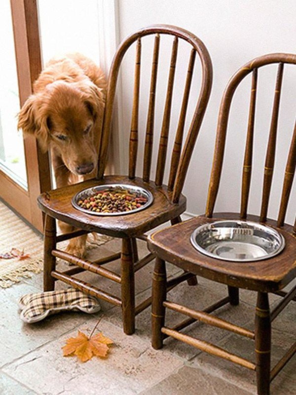 Dog bowl from old chairs