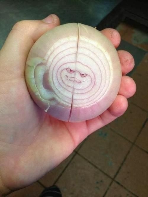 This onion has the worst of intentions