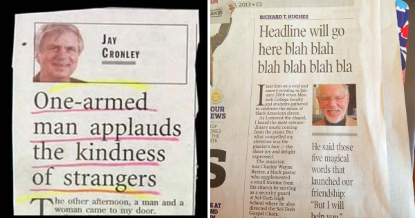 25 Funny Newspaper Headlines That Will Make You Chuckle - Pulptastic