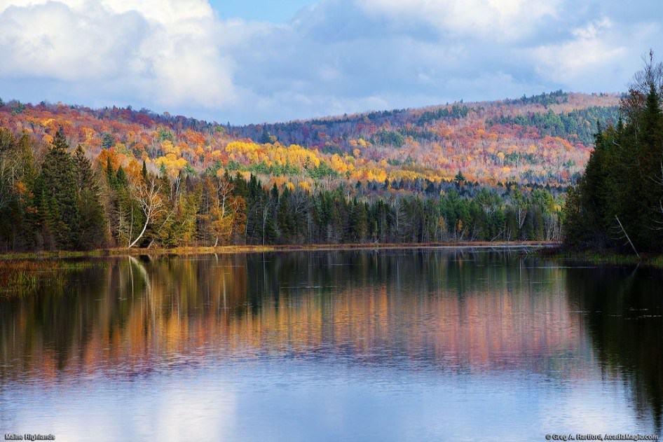 20 Reasons Why You Should Never Visit Maine - Pulptastic