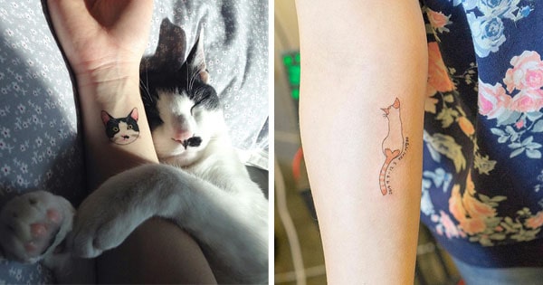 Cat Tattoos Are Pawsitively The Most Adorable Crime In South Korea ...